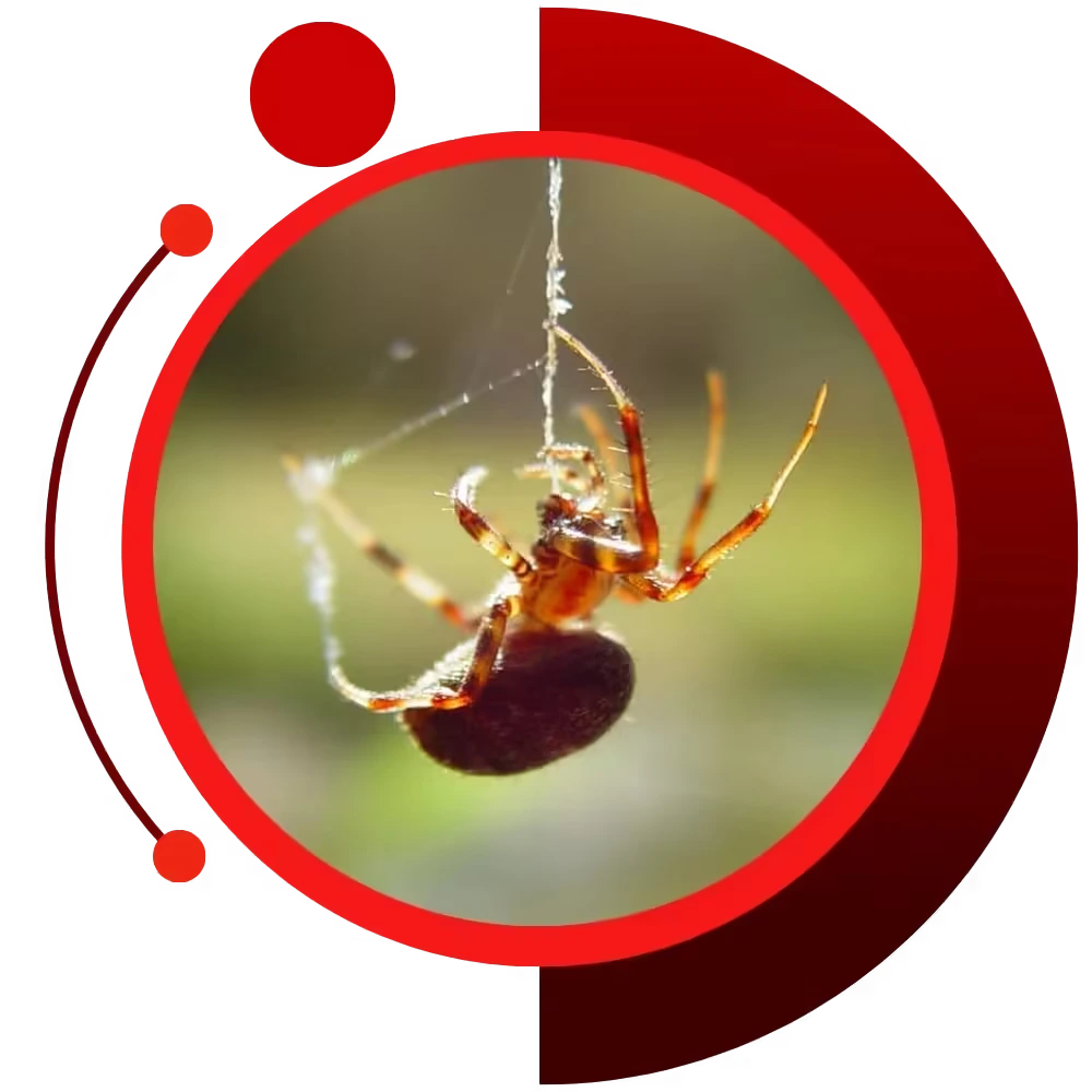 gardiner pest control services