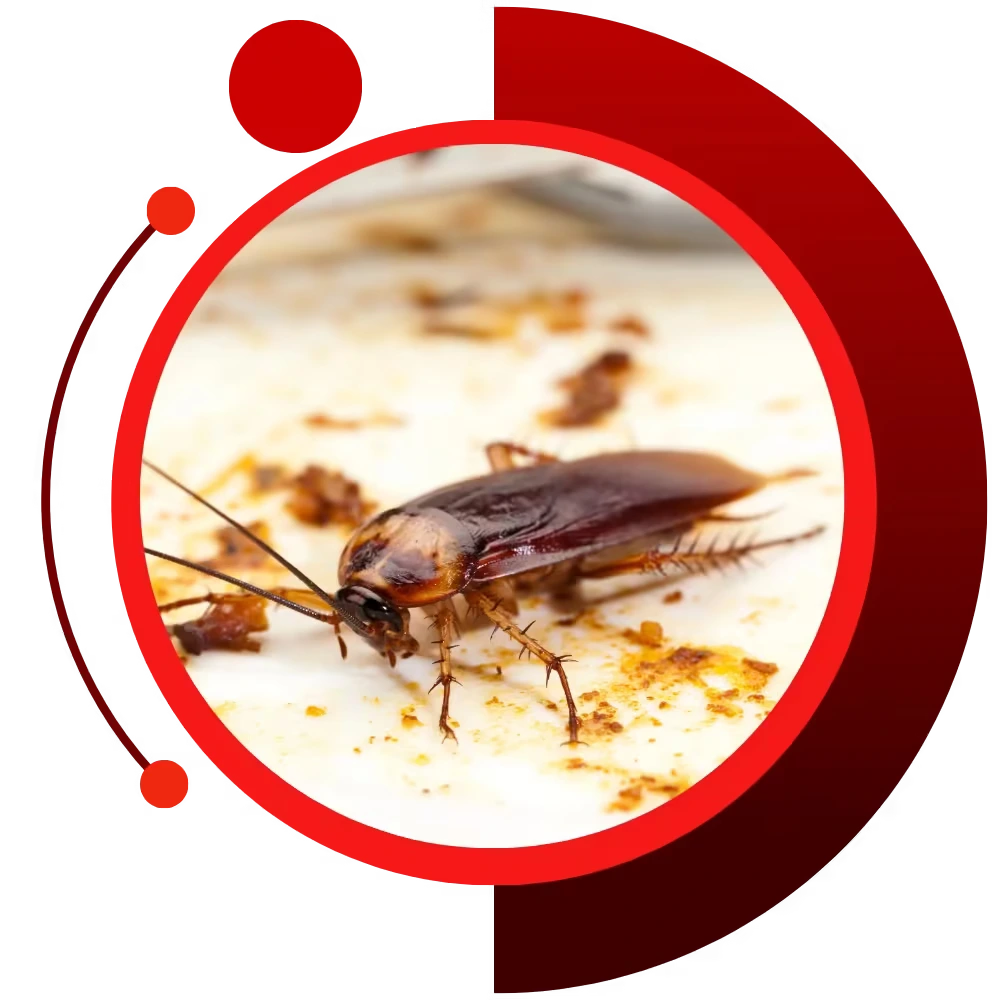 exterminator in west gardiner maine