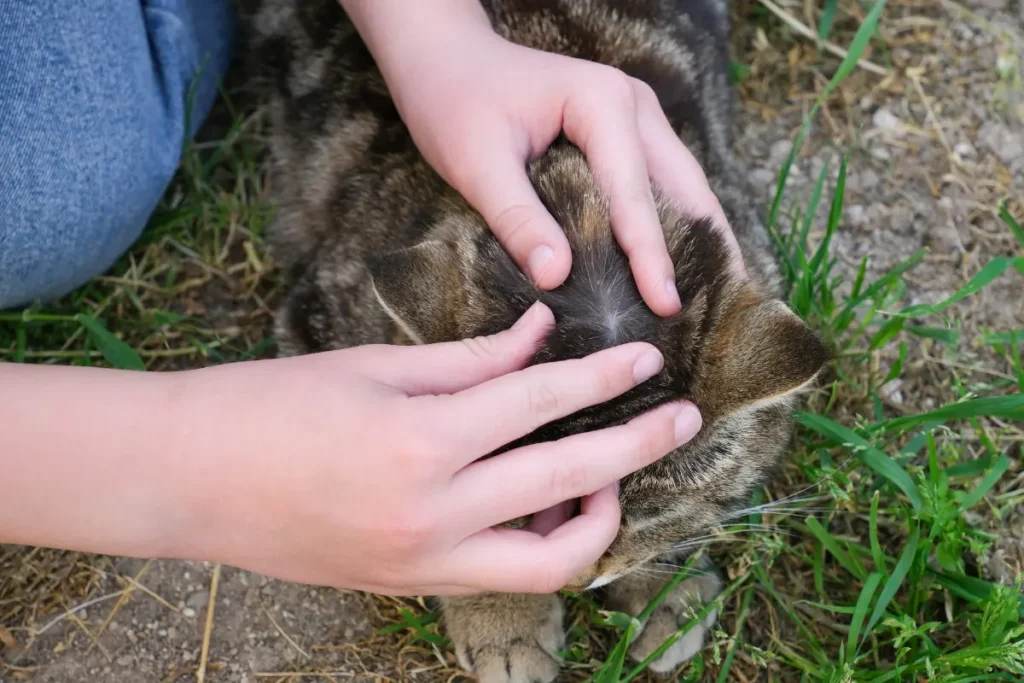 how to prevent flea and tick problems this spring?